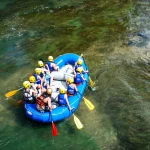 Paralax_web-1